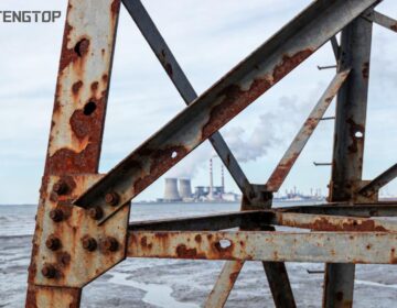 26012701 360x280 - Home